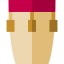 Conga icon 64x64