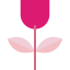 Rose icon 64x64