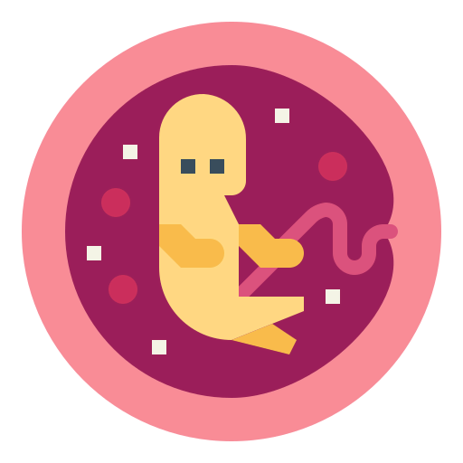 Embryo icon