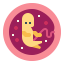 Embryo icon 64x64
