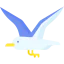 Seagull icon 64x64