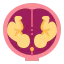 Twins icon 64x64