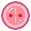 Zygote icon 64x64