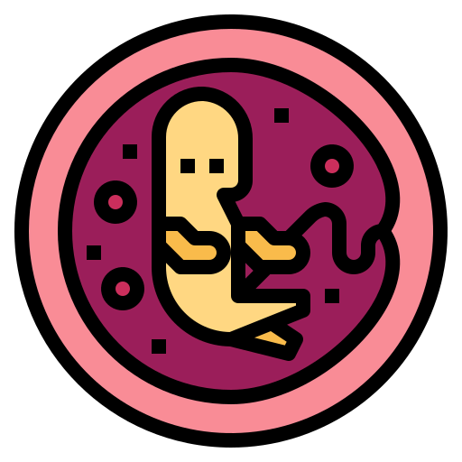 Embryo icon