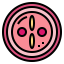 Zygote icon 64x64