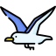 Seagull icon 64x64