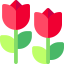 Tulips icon 64x64
