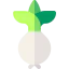 Onion icon 64x64