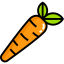 Carrot icon 64x64