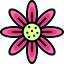 Flower icon 64x64