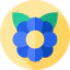 Flower icon 64x64