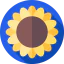 Sunflower icon 64x64