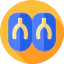 Flip flops icon 64x64