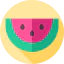 Watermelon icon 64x64