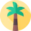 Palm tree icon 64x64