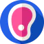 Meat icon 64x64