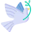 Dove icon 64x64