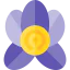 Orchid icon 64x64