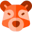 Racoon icon 64x64