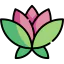 Lotus flower icon 64x64