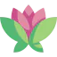 Lotus flower icon 64x64