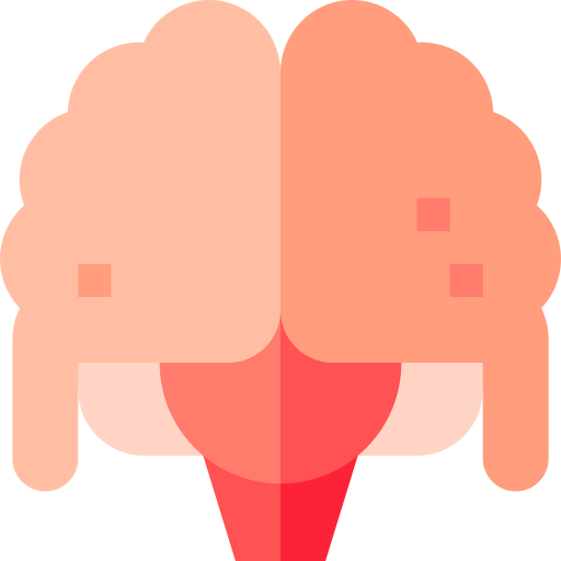 Brain icon