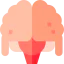 Brain icon 64x64