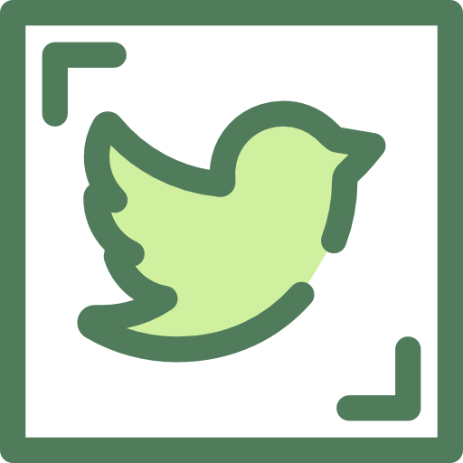 Twitter icon
