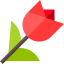 Tulip icon 64x64
