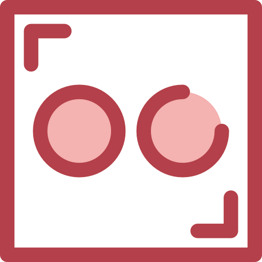 Flickr icon