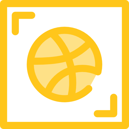 Dribbble icon