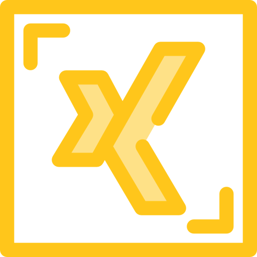 Xing icon