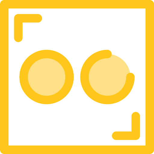Flickr icon