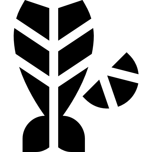 Fish icon