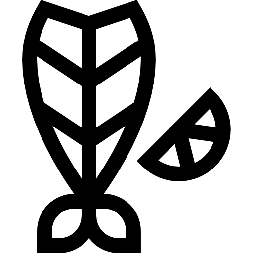 Fish icon