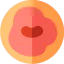 Chili icon 64x64
