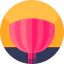 Pom pom icon 64x64