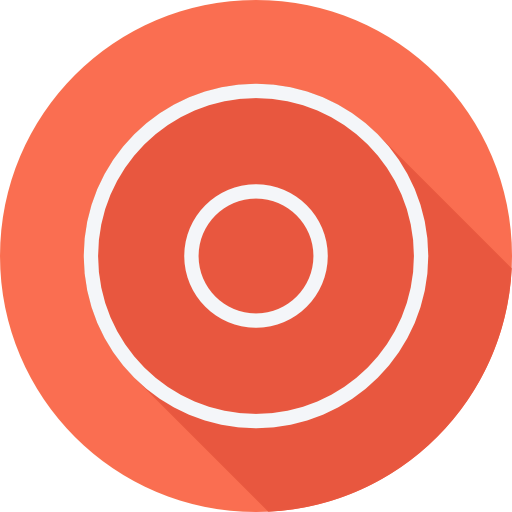 Record icon