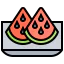 Watermelon icon 64x64