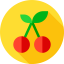 Cherry 图标 64x64