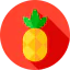 Pineapple 图标 64x64