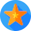 Starfish 图标 64x64