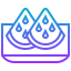 Watermelon icon 64x64