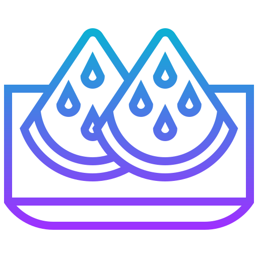 Watermelon icon