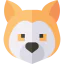 Akita inu icon 64x64