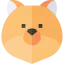Pomeranian icon 64x64