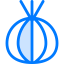 Onion icon 64x64