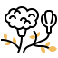 Бархатцы иконка 64x64