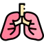Lungs icon 64x64