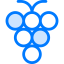 Grape icon 64x64